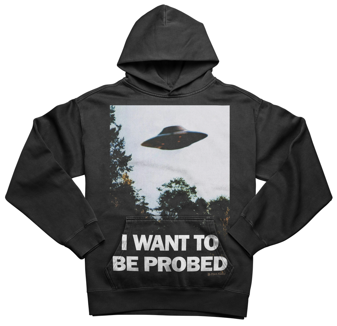I Want To Be Probed Shirt I Want To Believe Funny Parody Meme Unisex Classic T-Shirt
