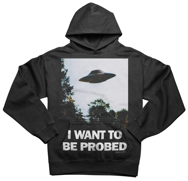 I Want To Be Probed Shirt I Want To Believe Funny Parody Meme Unisex Classic T-Shirt