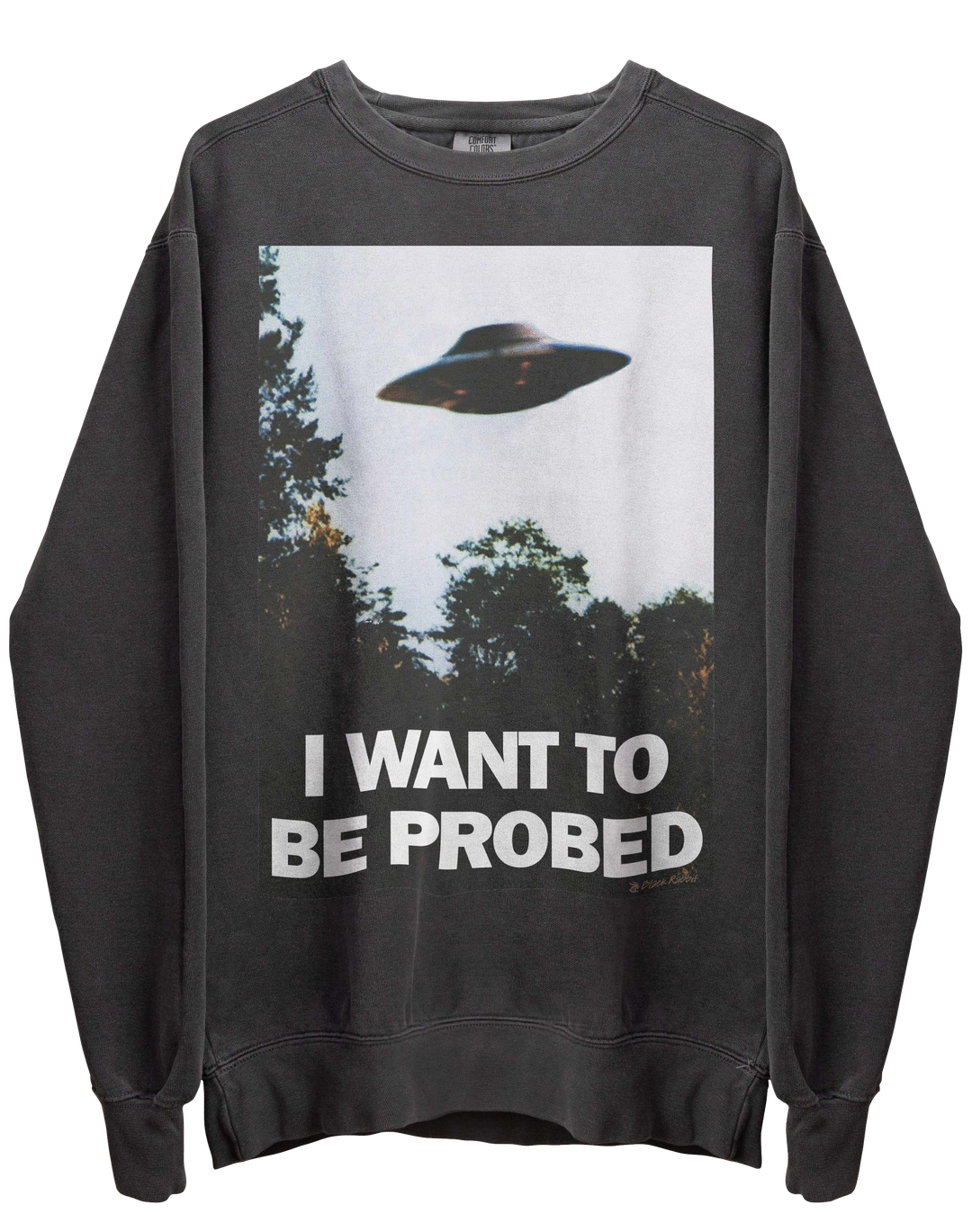 I Want To Be Probed Shirt I Want To Believe Funny Parody Meme Unisex Classic T-Shirt