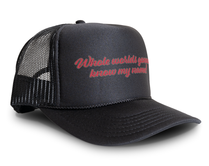 Pearl X Whole Worlds Gonna Know My Name Snapback Hat Cap