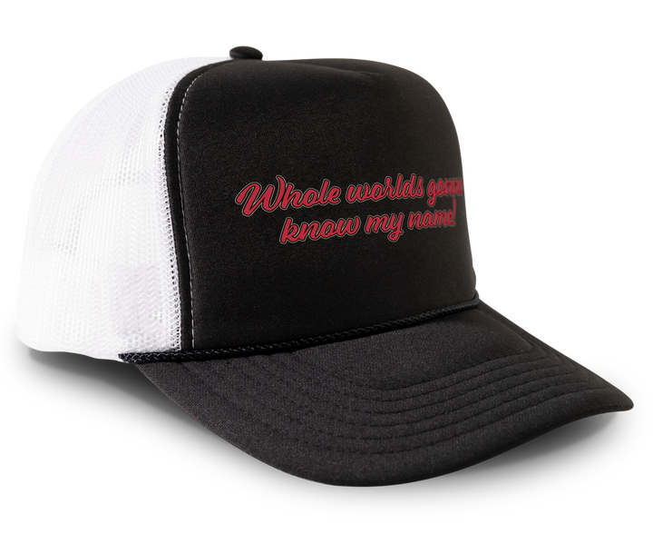 Pearl X Whole Worlds Gonna Know My Name Snapback Hat Cap