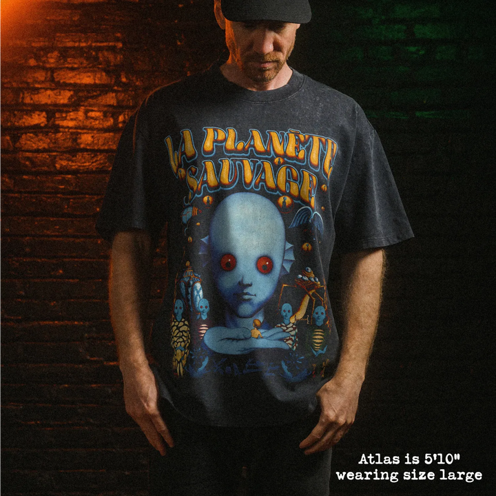 Male model wearing stone wash heavy tee with fantastic planet french graphic 