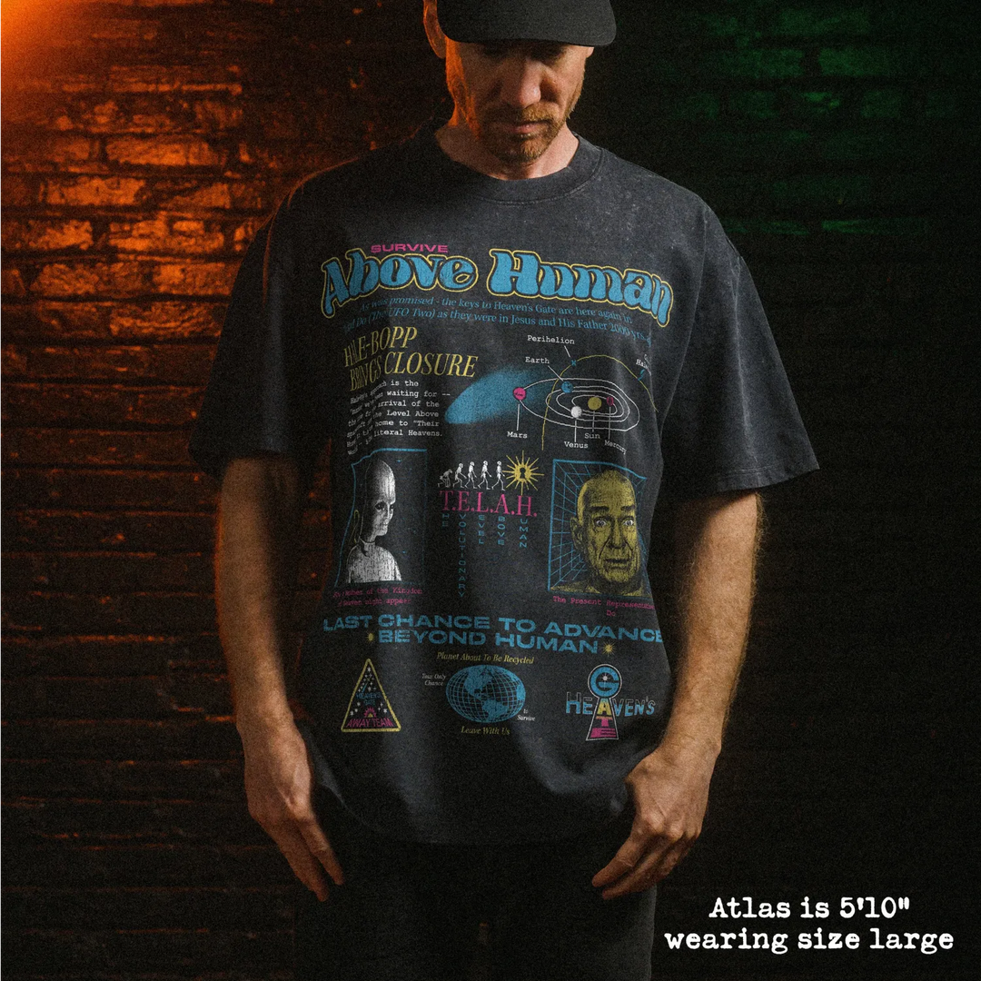 Male model wearing stone wash heavy tee with heavens gate graphic 