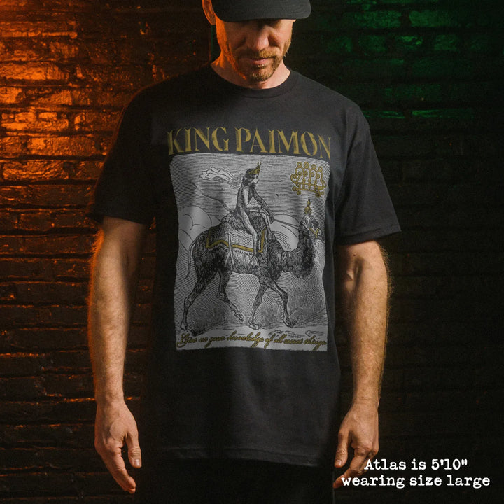 Male model wear soft premium tee with king paimon graphic
