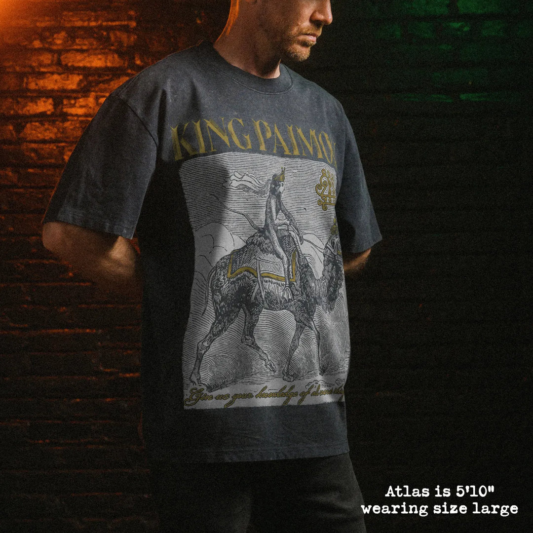Male model wearing stone wash heavy tee with king paimon graphic 