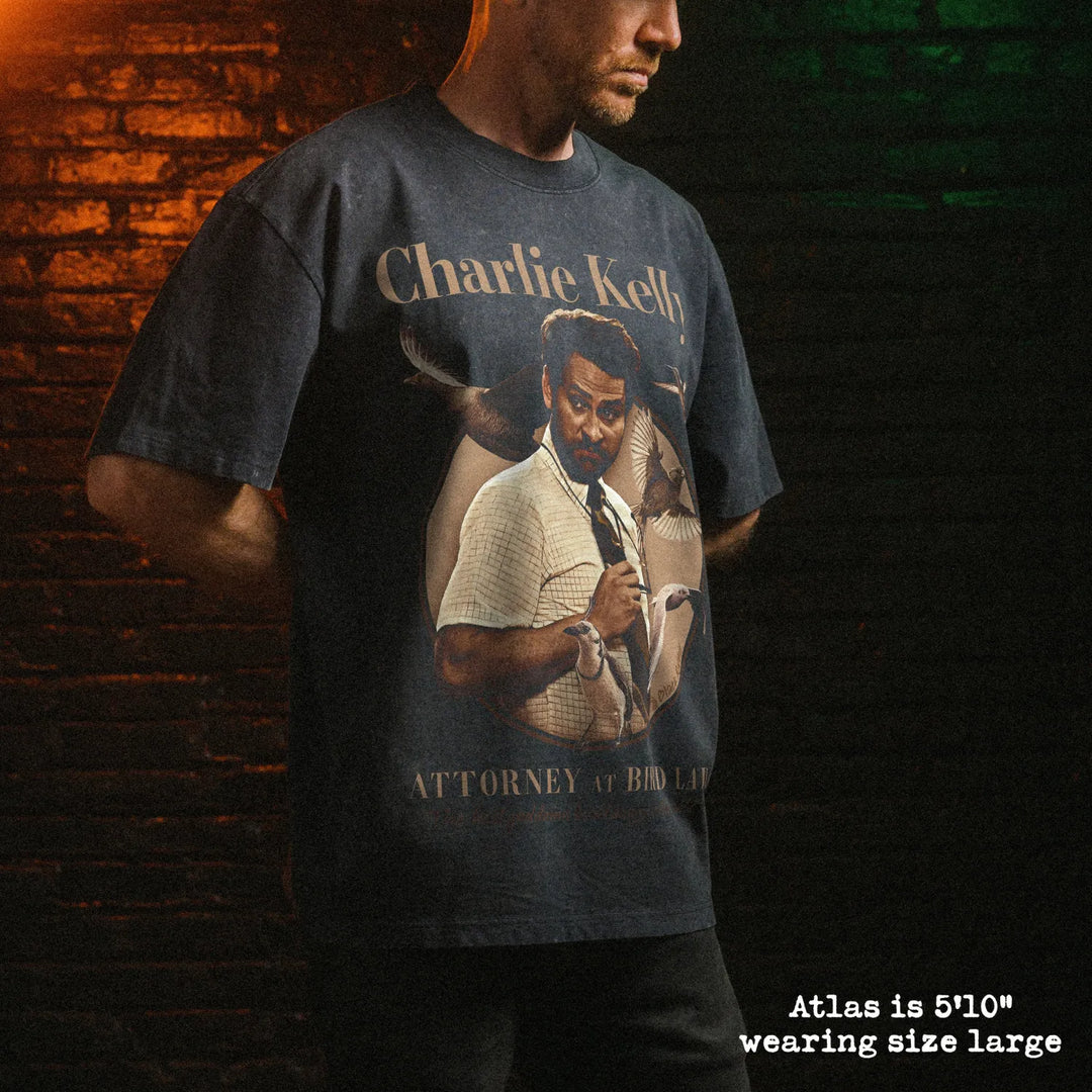 Male model wearing stone wash heavy tee with bird law graphic 