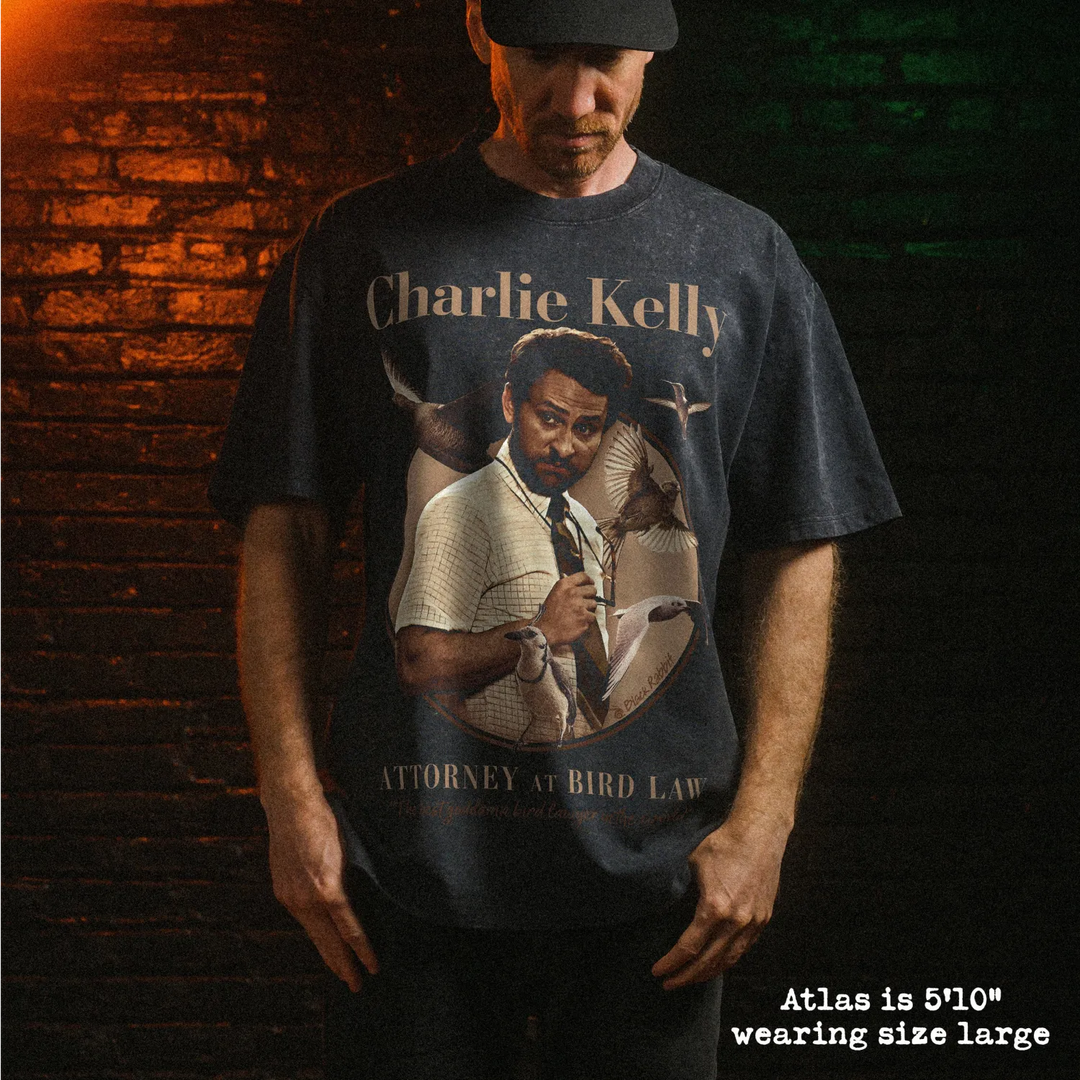 Male model wearing stone wash heavy tee with bird law graphic 