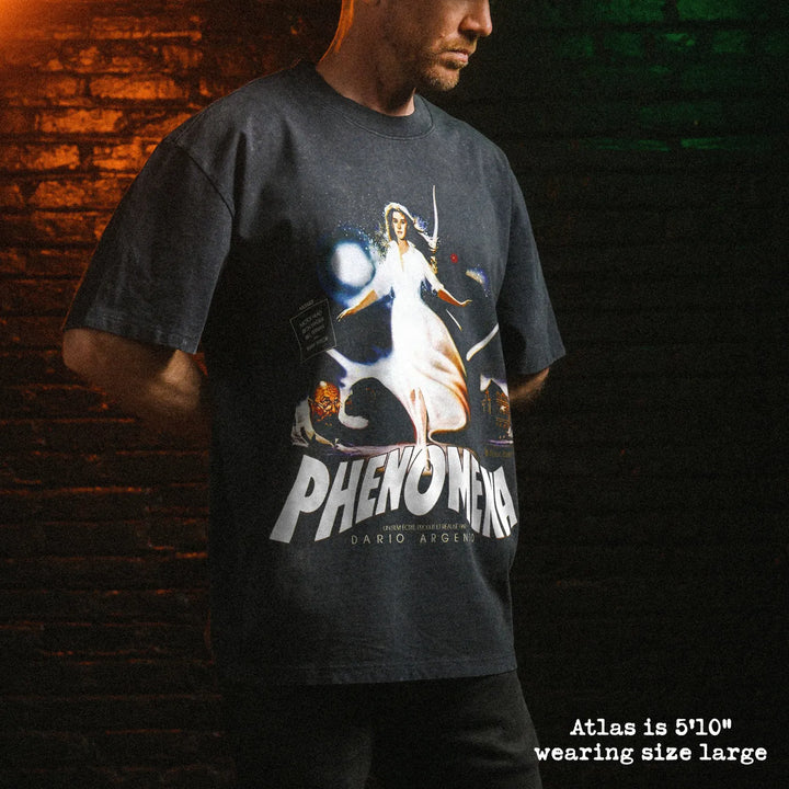 Male model wearing stone wash heavy tee with phenomena graphic 