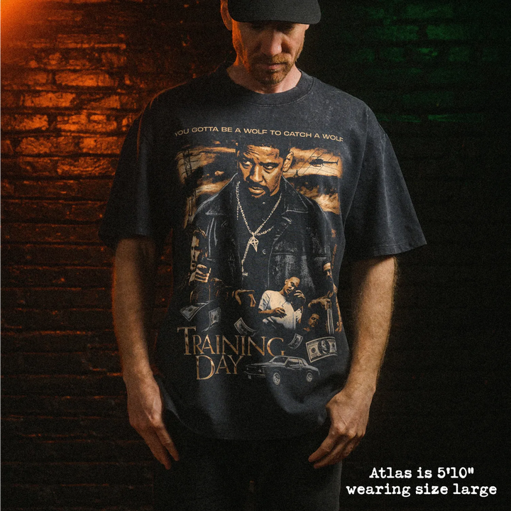 Male model wearing heavy stone washed tee with training day graphic. 